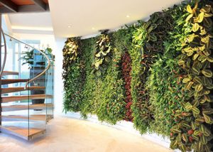 Green Wall | Plantscapes