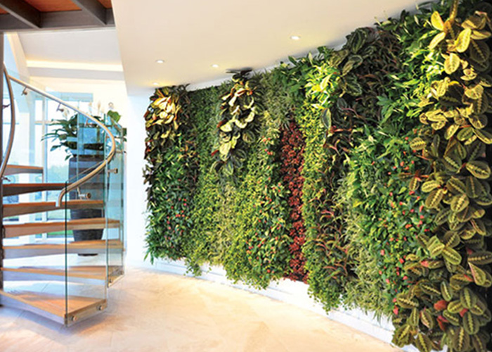 green-wall-plantscapes