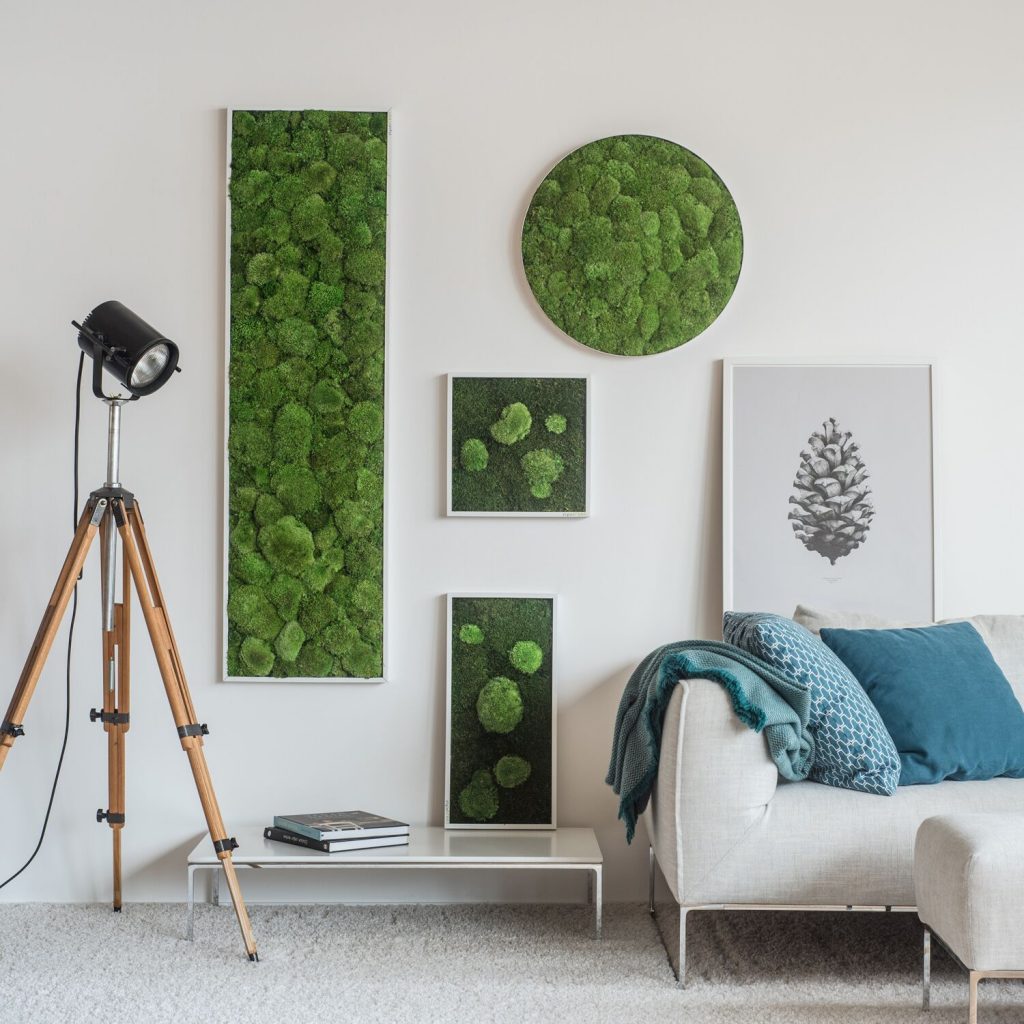 Indoor Moss Wall- New Twist in Living Walls