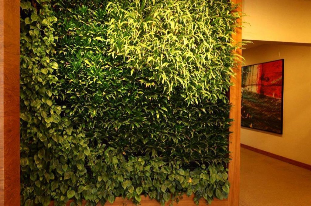 Standard Real Green Wall