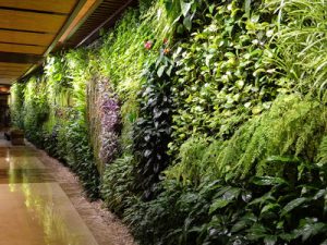 green wall construction plantscapes