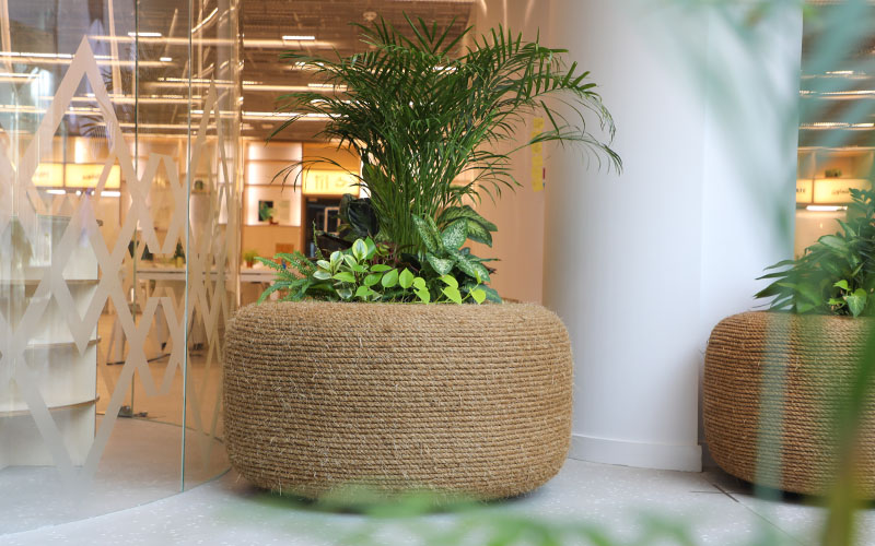 read-about-plantscapes