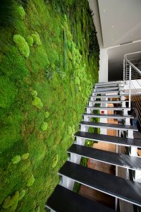 AD Moss Walls Green Interior Design Trend 04