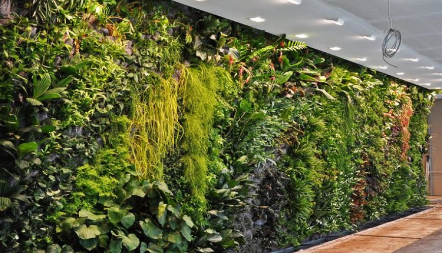 Green Walls – All You Need To Know