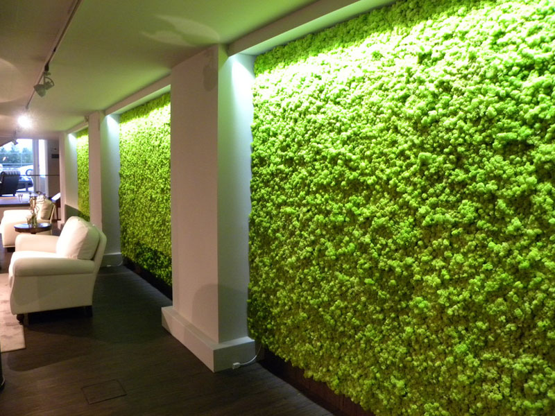 Wall moss art, Wooden honeycombs, Vertical garden, Preserved moss, Living  moss 