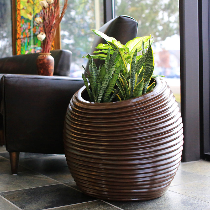ceramic-indoor-pot