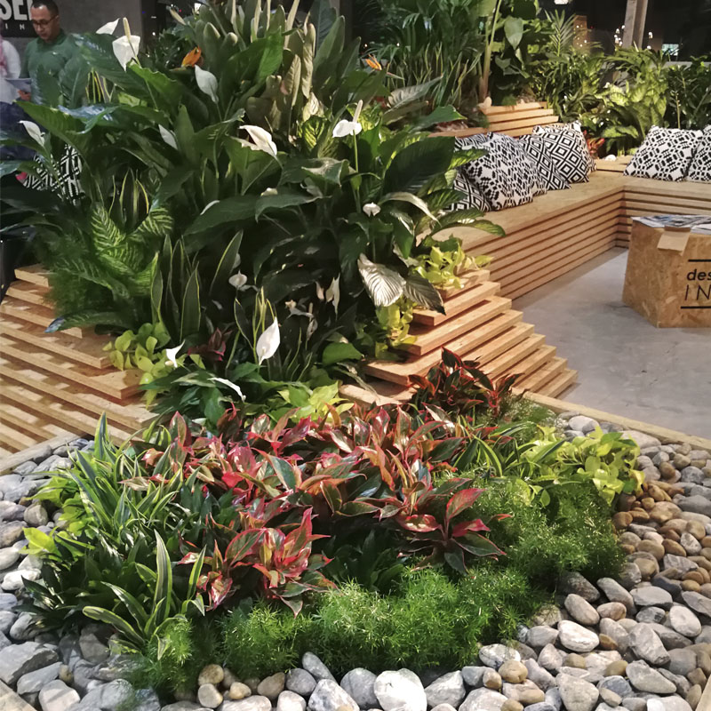 downtown-project-plantscapes