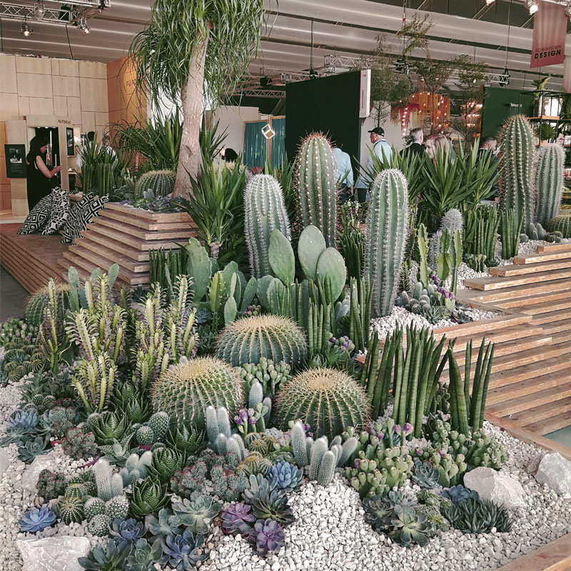 downtown-project-plantscapes