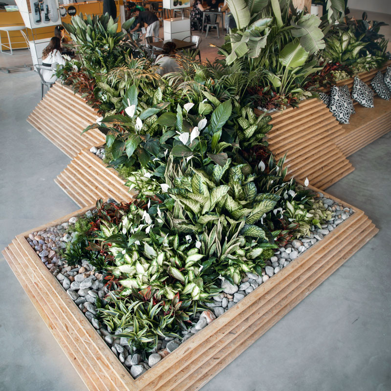 downtown-project-plantscapes