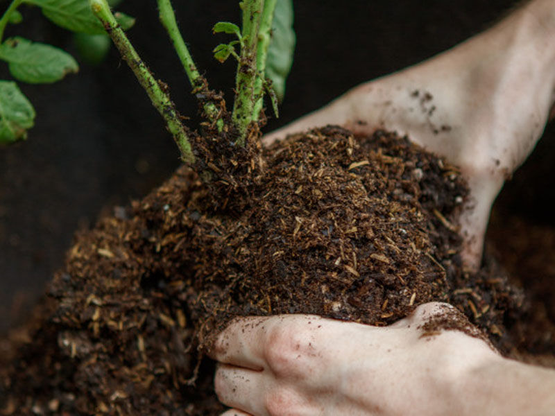 potting-soil-plantscapes