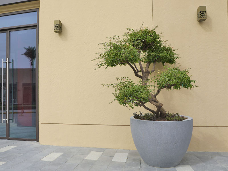 the-point-project-plantscapes