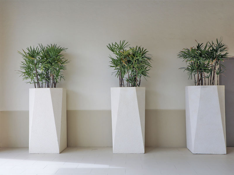 the point project plantscapes 4