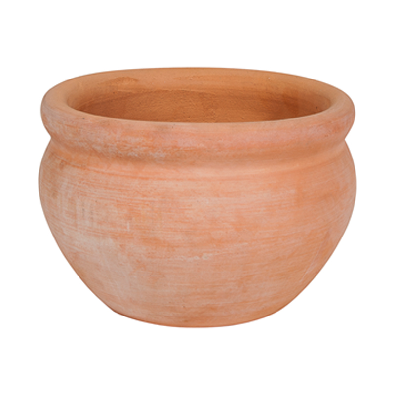 Fishbowl Terracotta Pot