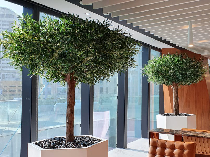 Artificial olive trees