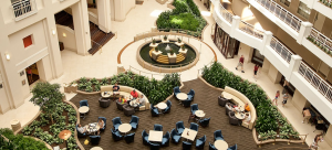 plantscapes 101 for hotels and restaurants