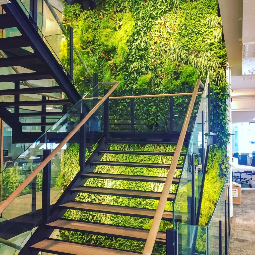 Green wall