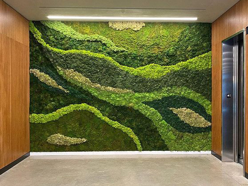 moss-wall-supplier-in-dubai