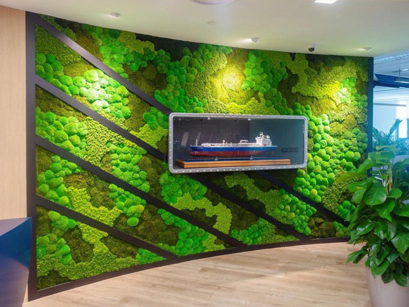 moss-wall-supplier-in-uae