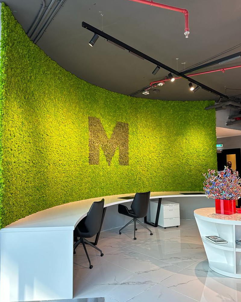 moss-wall-supply-and-installation-in-dubai