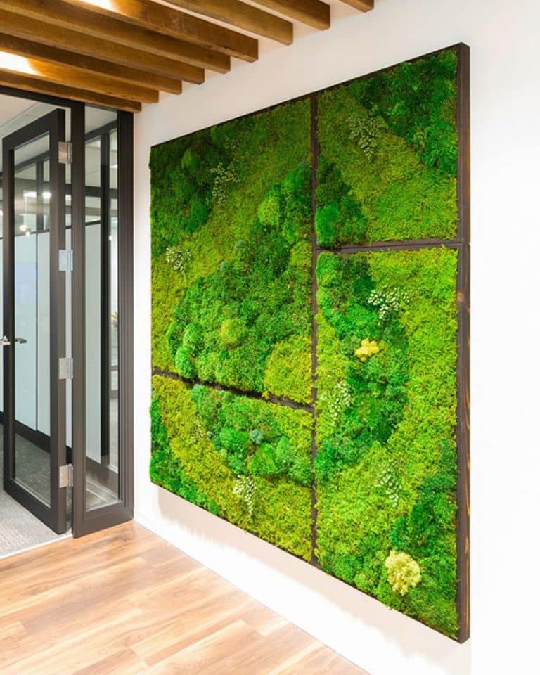 Designing Sustainable and Beautiful Moss Walls Plantscapes