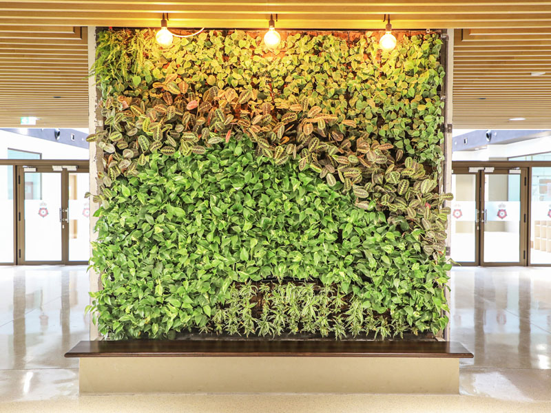 Office-greenery-solutions