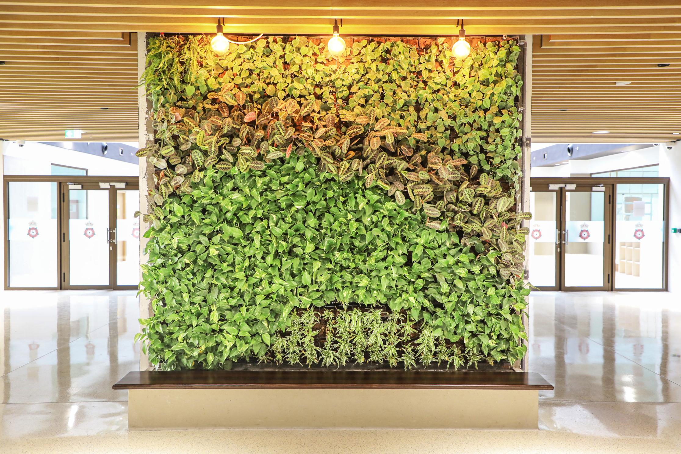 green wall