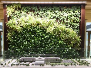 ROI of Green Living Walls