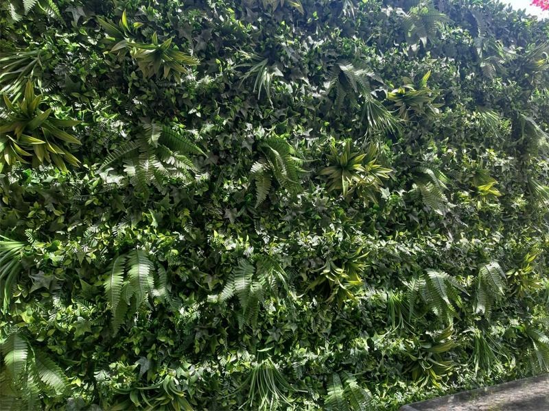 The ROI of Green Living Walls