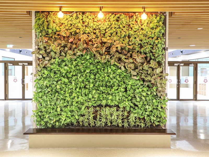 green-wall-Transform-Spaces-with-Indoor-Plants