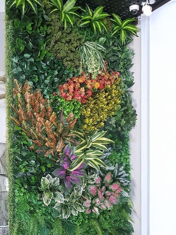 myths-about-artificial-green-walls