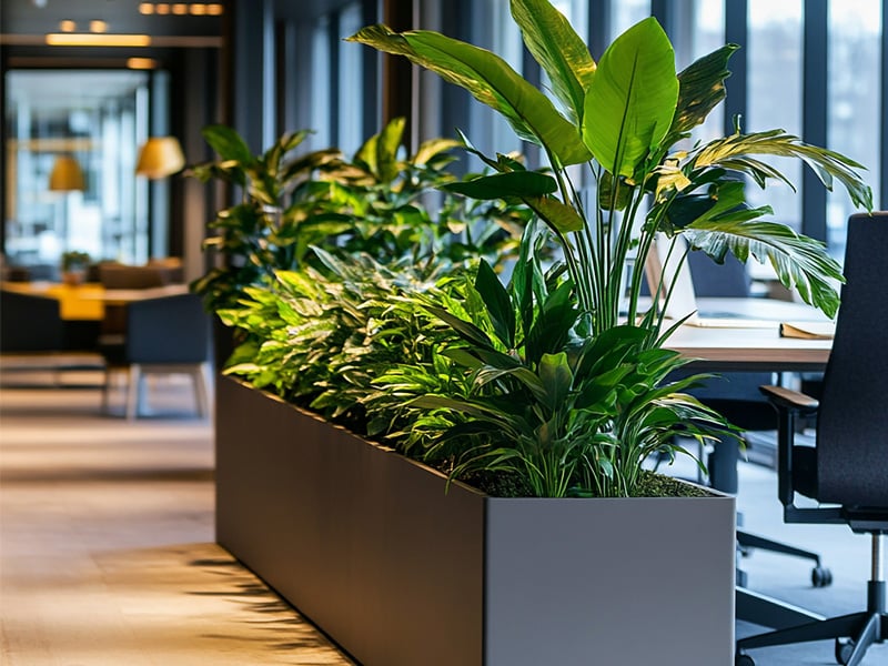 plants-modern-office-space-features