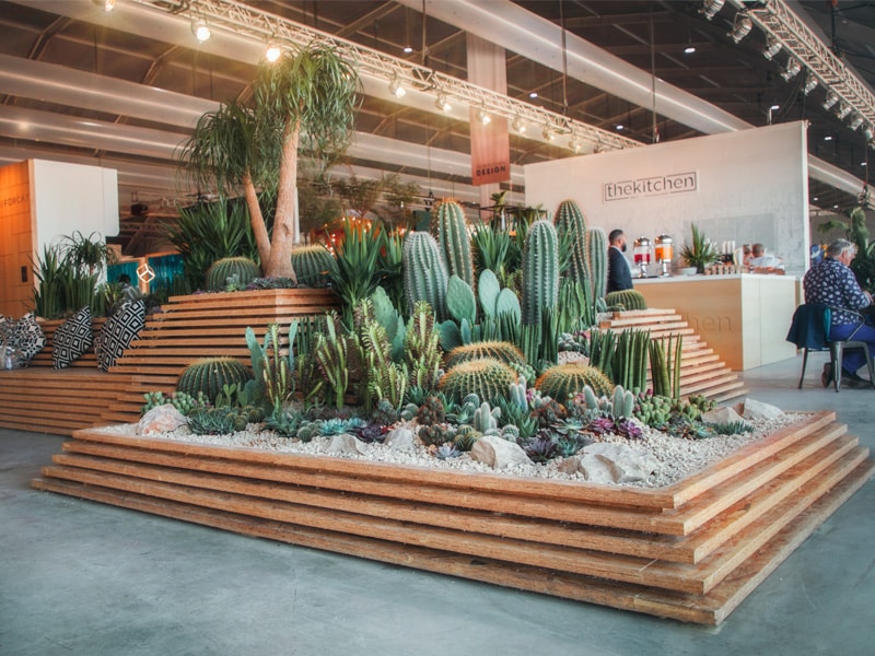 The Rise of Xeriscaping in UAE Landscaping Trends 2 plantscapes-xeriscaping