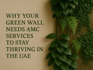 Why Your Green Wall Needs AMC Services to Stay Thriving in the UAE