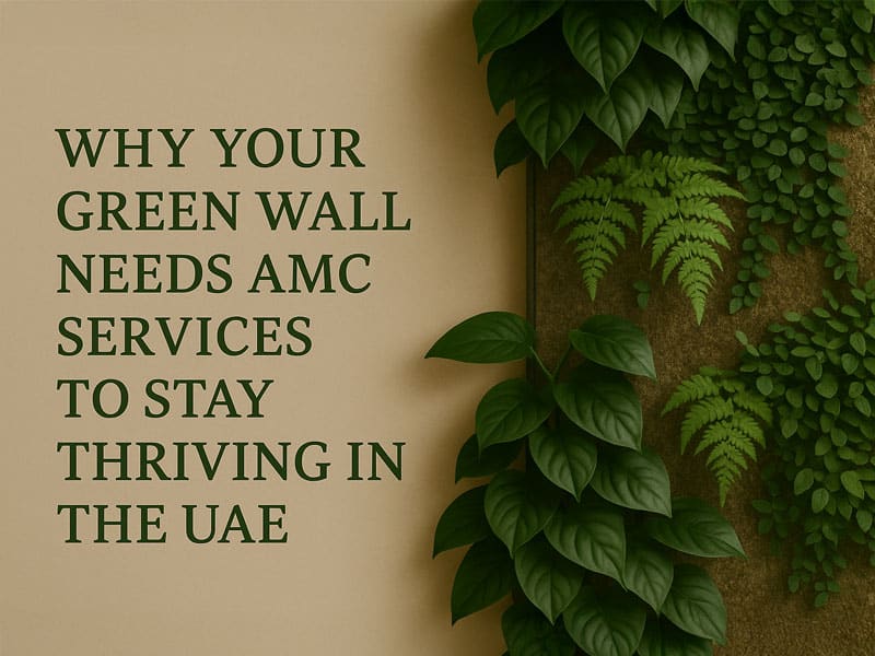Why Your Green Wall Needs AMC Services to Stay Thriving in the UAE 1 Why Your Green Wall Needs AMC Services to Stay Thriving in the UAE