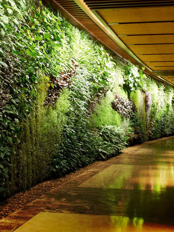 Why Your Green Wall Needs AMC Services to Stay Thriving in the UAE 2 green-wall-maintained