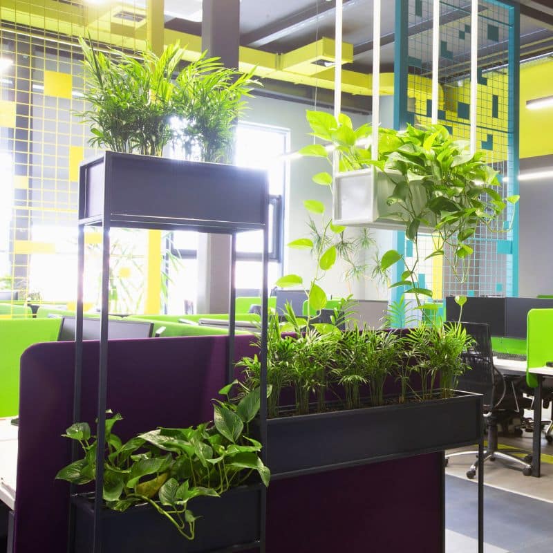 Beat the Heat: Why Green Spaces Matter in UAE Summers 1 Indoor-office-greenery-for-summer-wellbeing-in-UAE