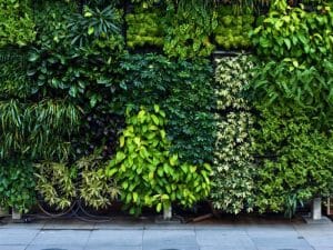 indoor-vertical-greenwall