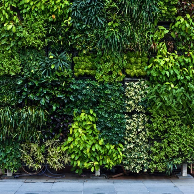 Beat the Heat: Why Green Spaces Matter in UAE Summers 3 indoor-vertical-greenwall