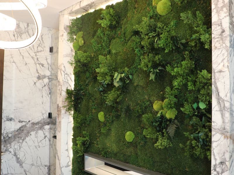 Boost Property Value with Green Wall Features in Show Villas 3 Green walls