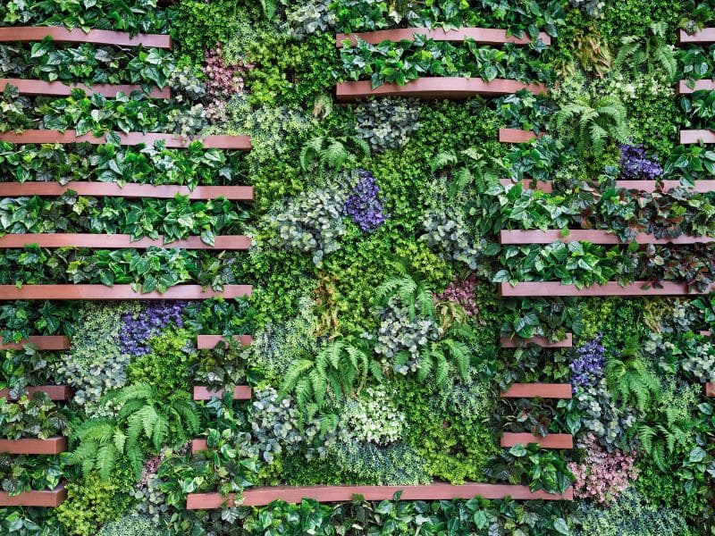 Artificial vs. Live Plants: Which Is Best for Your Business? 2 Artificial-green-wall