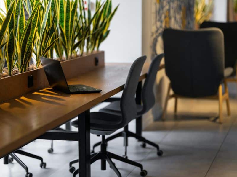 Artificial vs. Live Plants: Which Is Best for Your Business? 1 Live-indoor-plant-in-office