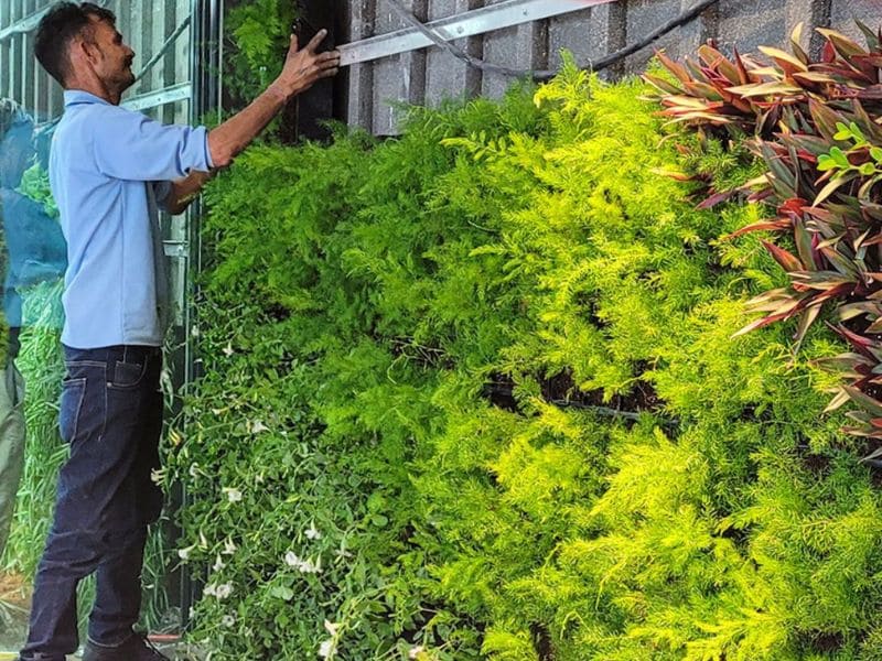 Artificial vs. Live Plants: Which Is Best for Your Business? 3 installing-green-wall