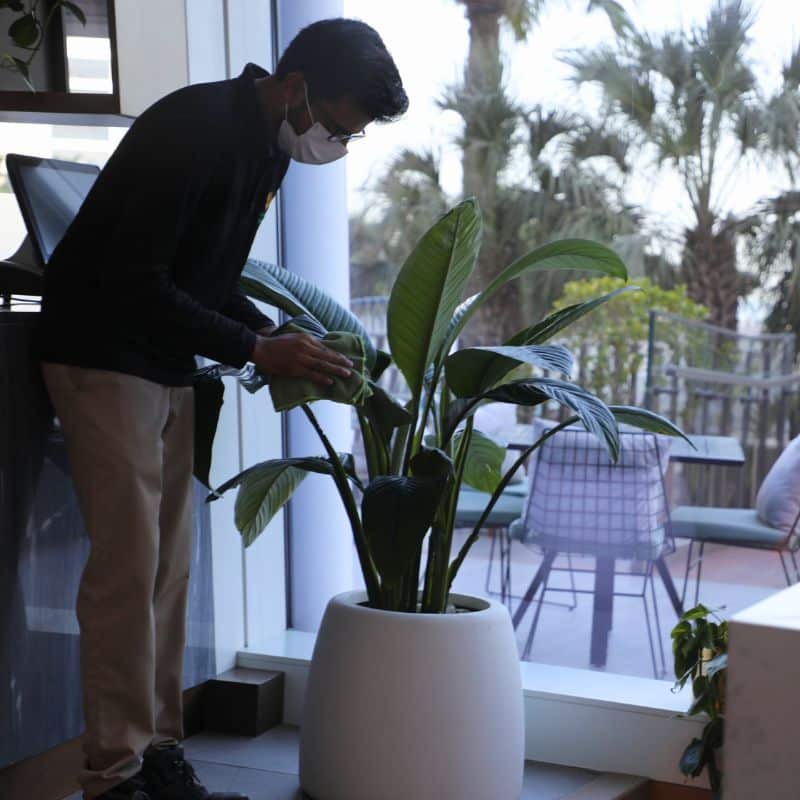 Annual Maintenance contractor Plantscapes