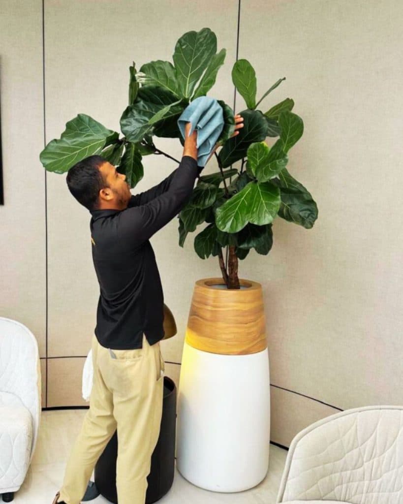 AMC : What Plantscapes’ Annual Maintenance Contracts Actually Cover 2 5