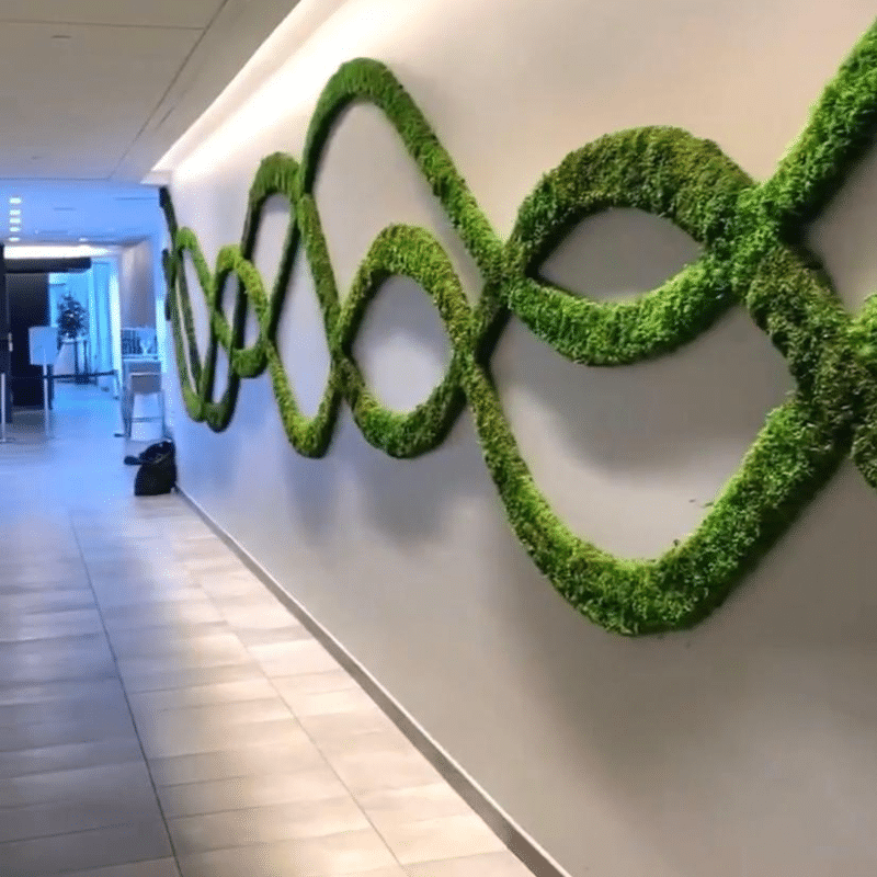 custom moss wall corporate corridor biophilic design uae