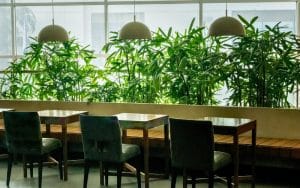Event-ready dining area with integrated planter boxes and lush green plants creating a natural biophilic ambience