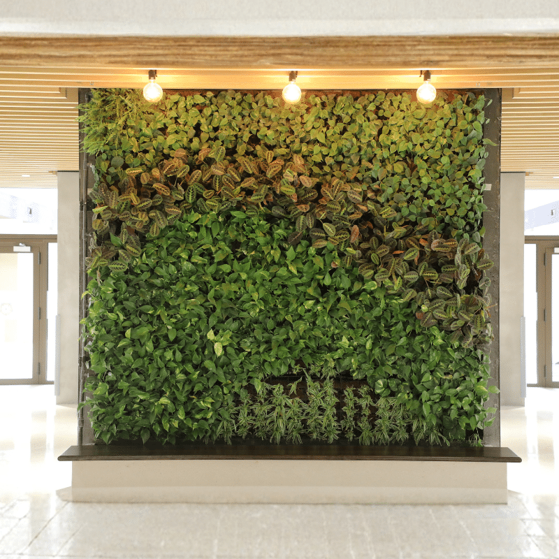 indoor living green wall interior design