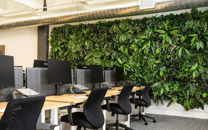 Open-Plan Office with Live Green Wall Behind Workstations