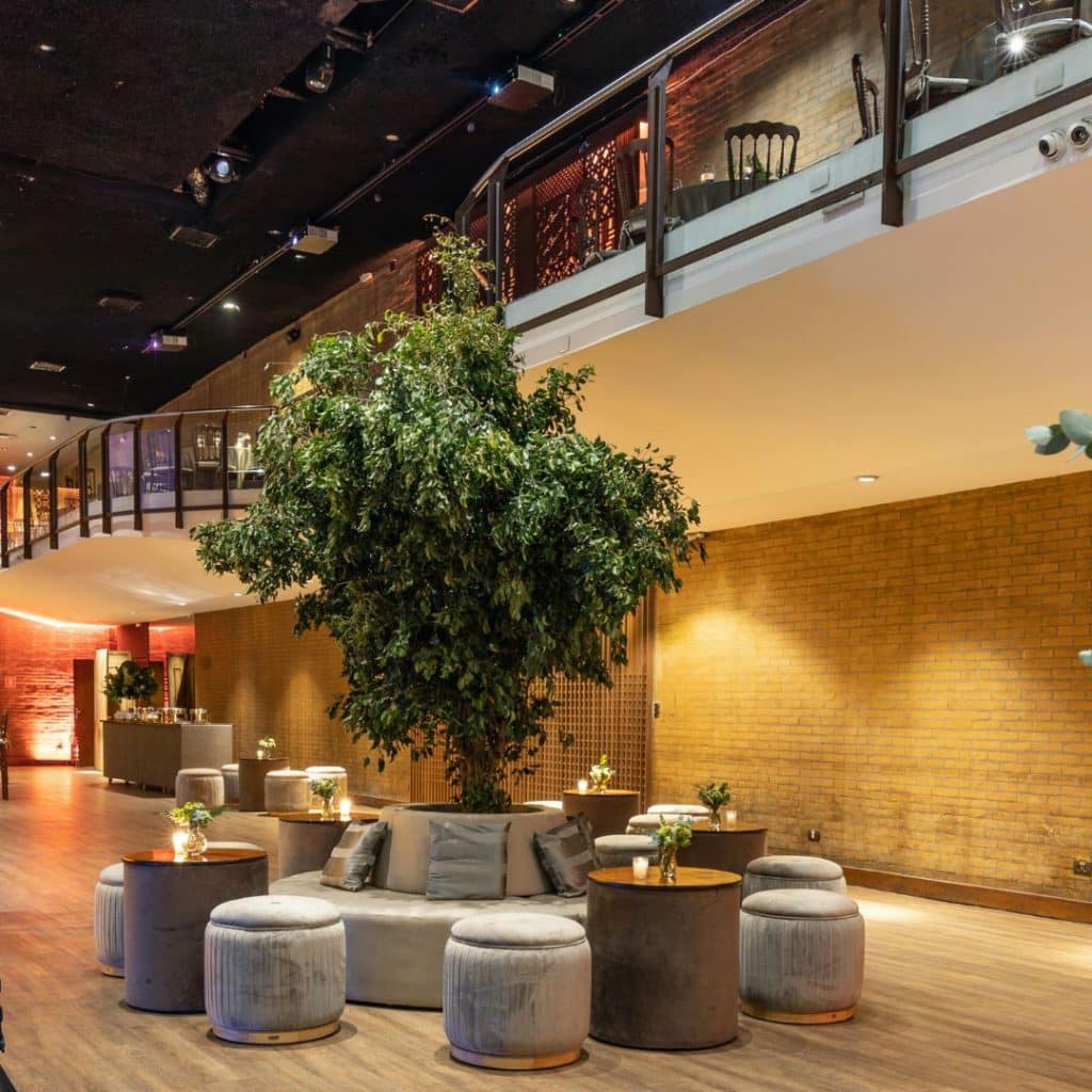 short-term-plant-rentals-desert-group