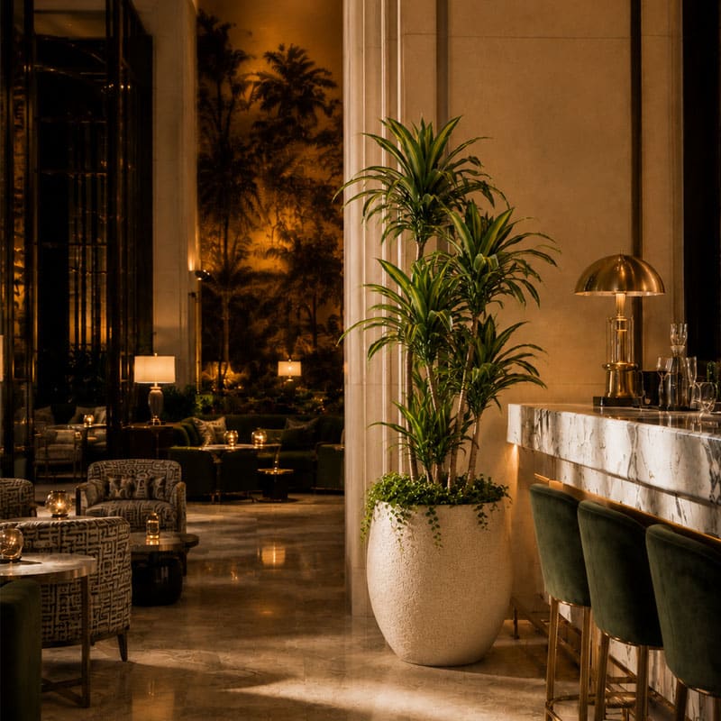 indoor-plants-hero-image-2